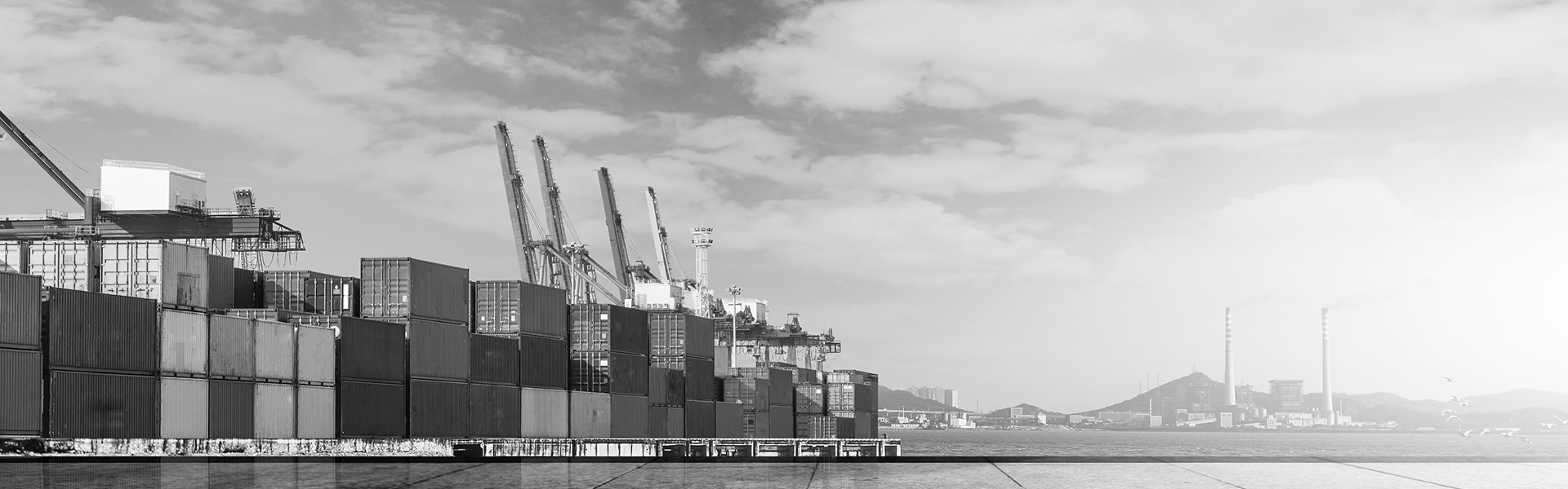 trade*export